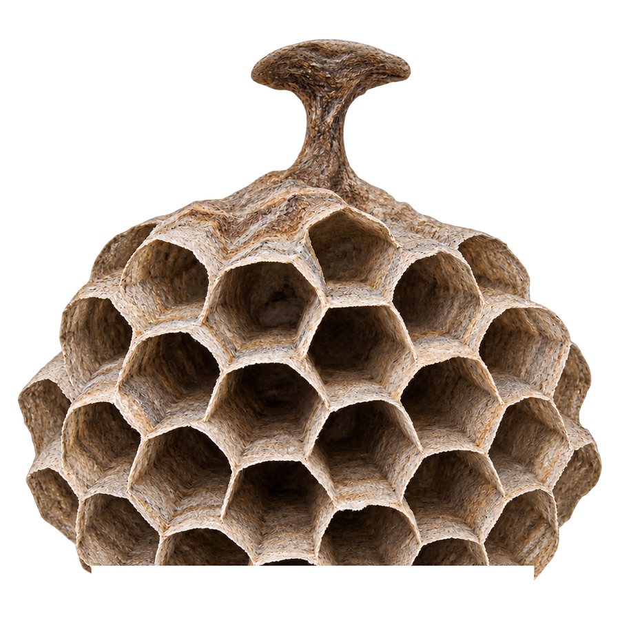 A paper wasp nest: a comb of open hexagonal cells hanging from a single narrow stalk, with no outer covering.